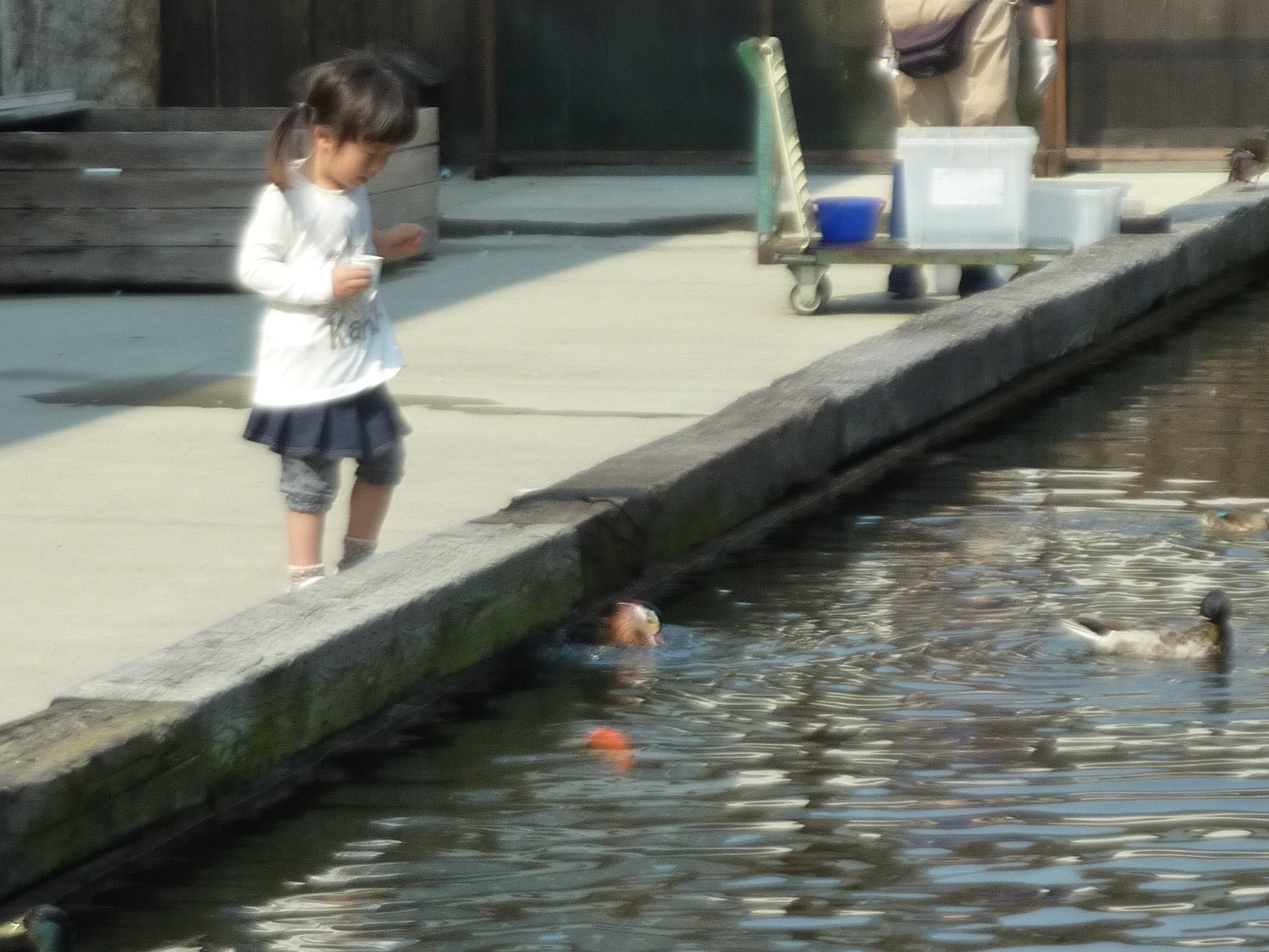 P1130927.JPG