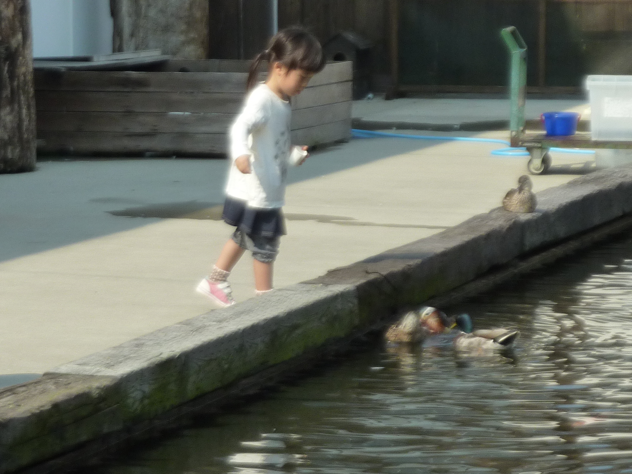 P1130930.JPG