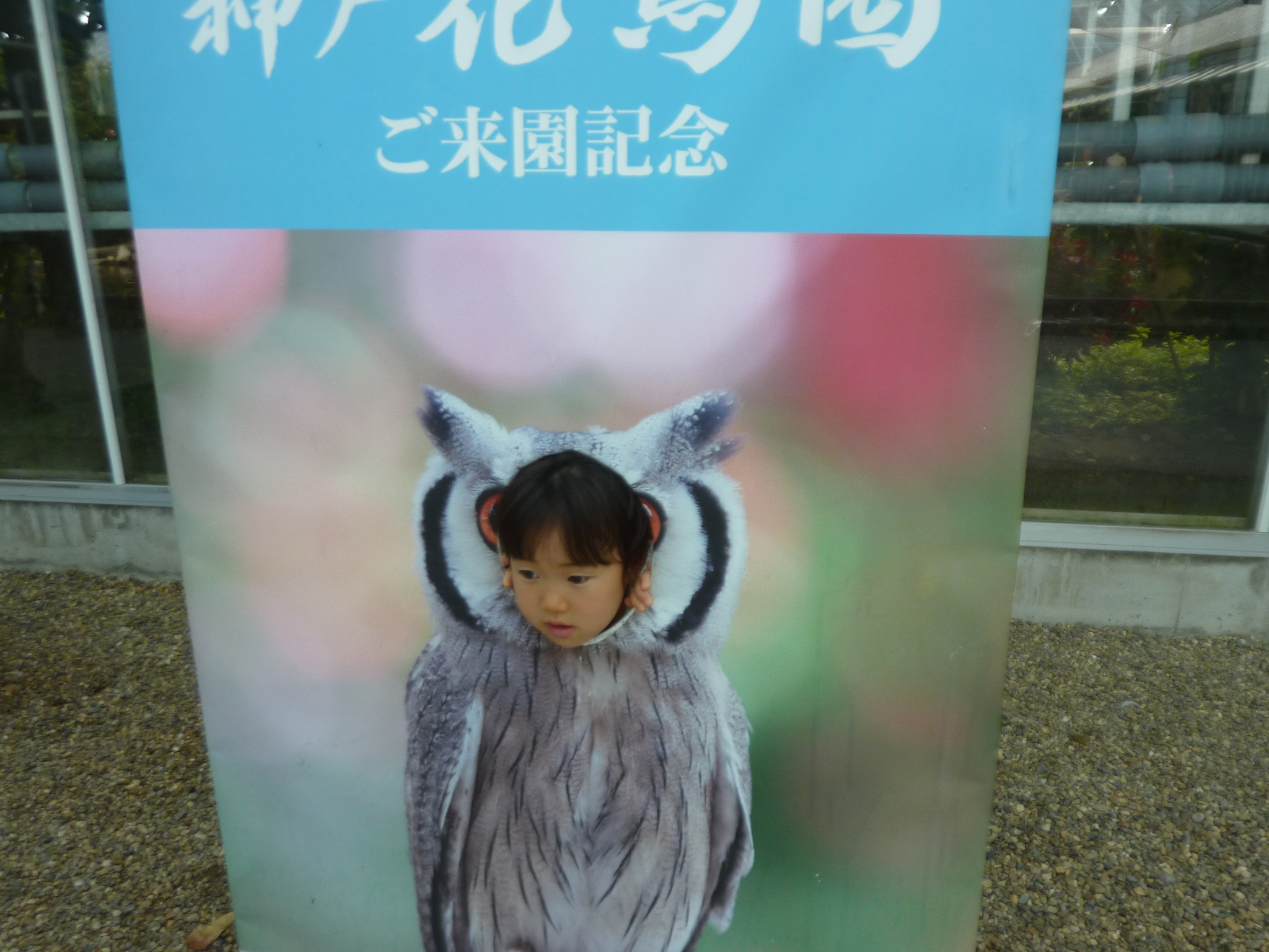 P1130939.JPG