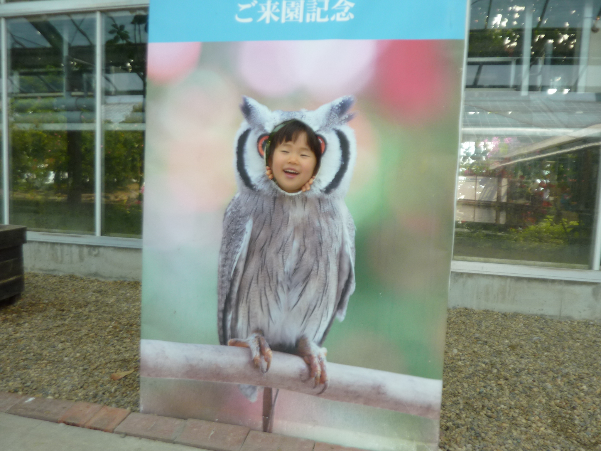 P1130941.JPG