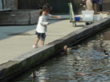 img0004.jpg