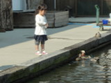 img0007.jpg