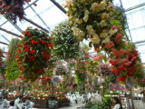 img0011.jpg