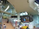 img0006.jpg