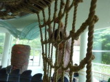 img0036.jpg