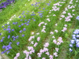img0016.jpg