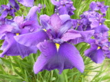 img0018.jpg