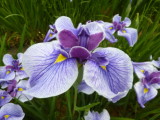 img0021.jpg