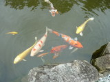img0026.jpg