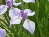 img0032.jpg