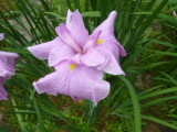 img0041.jpg