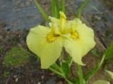 img0043.jpg