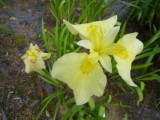 img0044.jpg