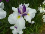 img0046.jpg