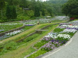 img0049.jpg