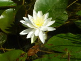 img0002.jpg