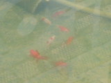 img0004.jpg