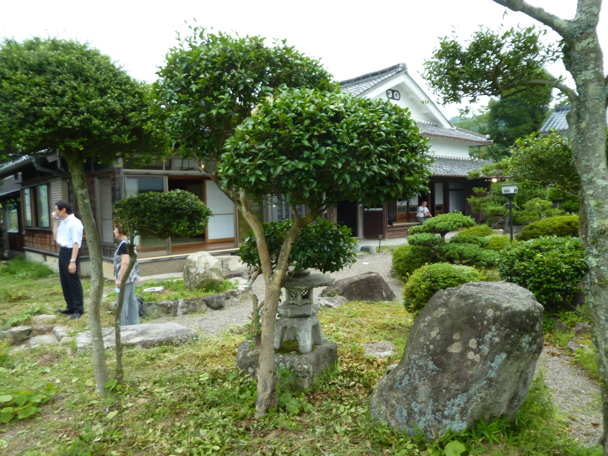 P1140164.JPG