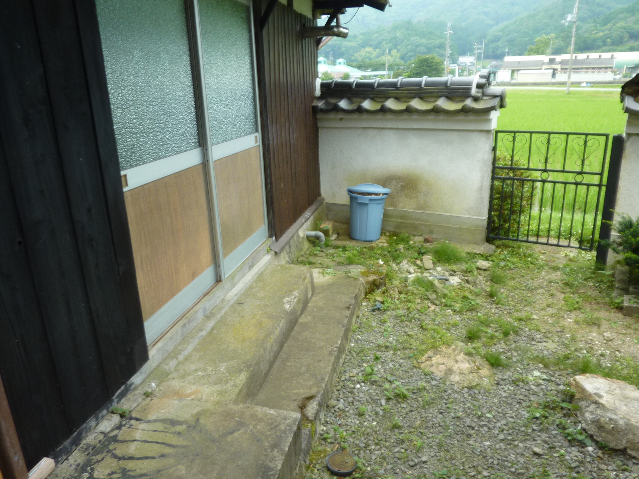 P1140171.JPG