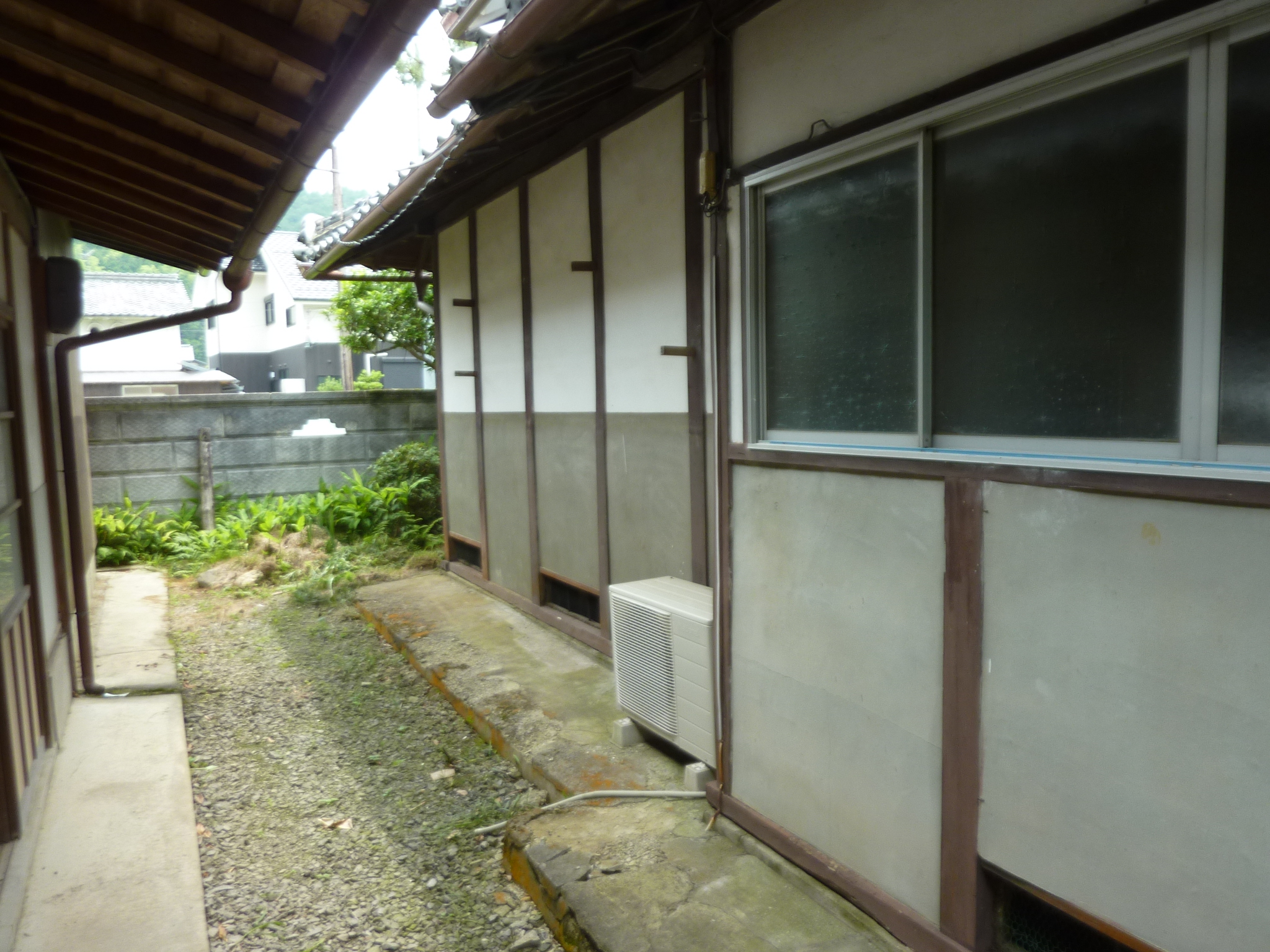 P1140177.JPG