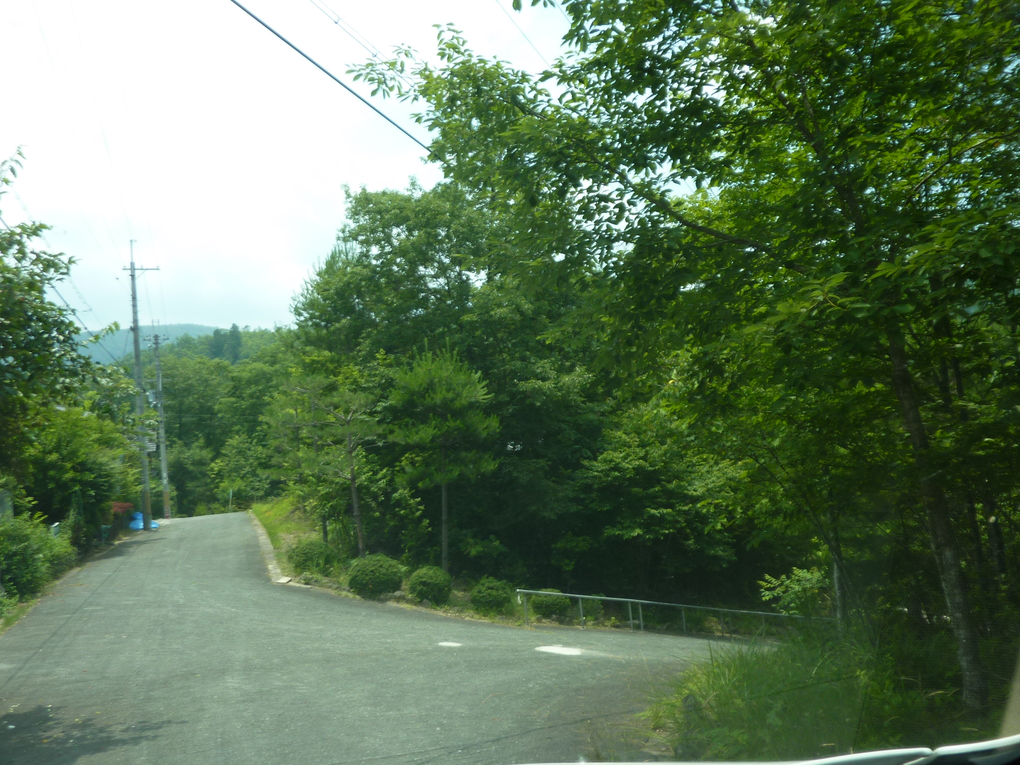 P1140189.JPG