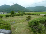 img0011.jpg
