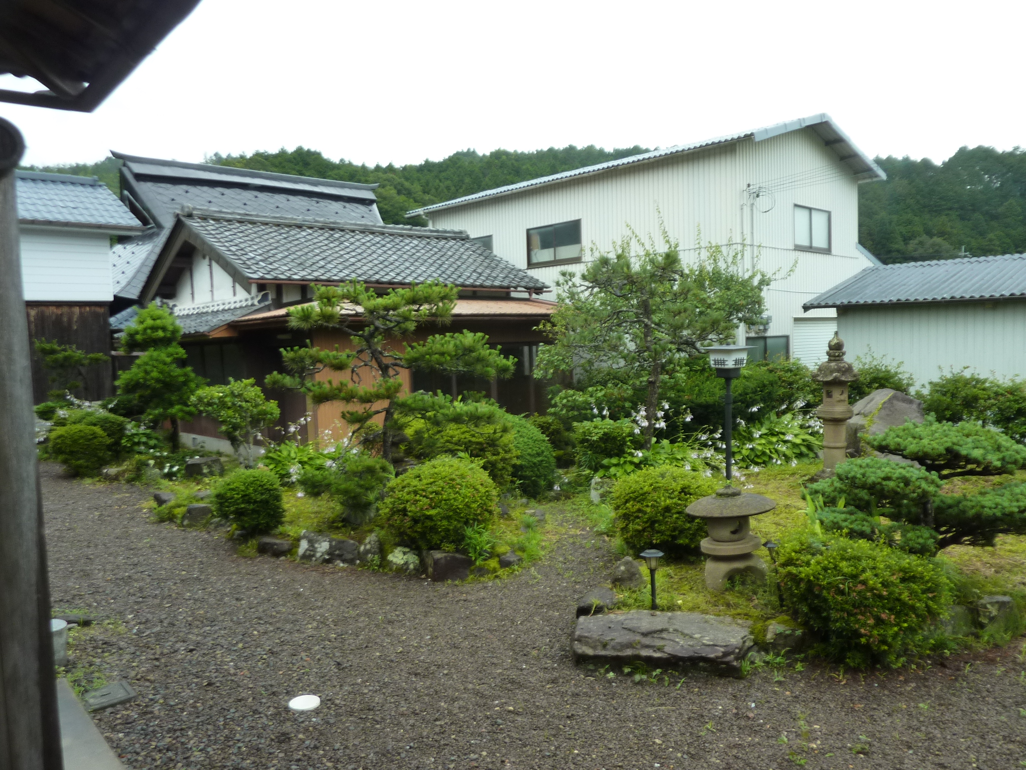 P1140238.JPG