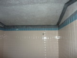 img0034.jpg