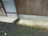 img0055.jpg
