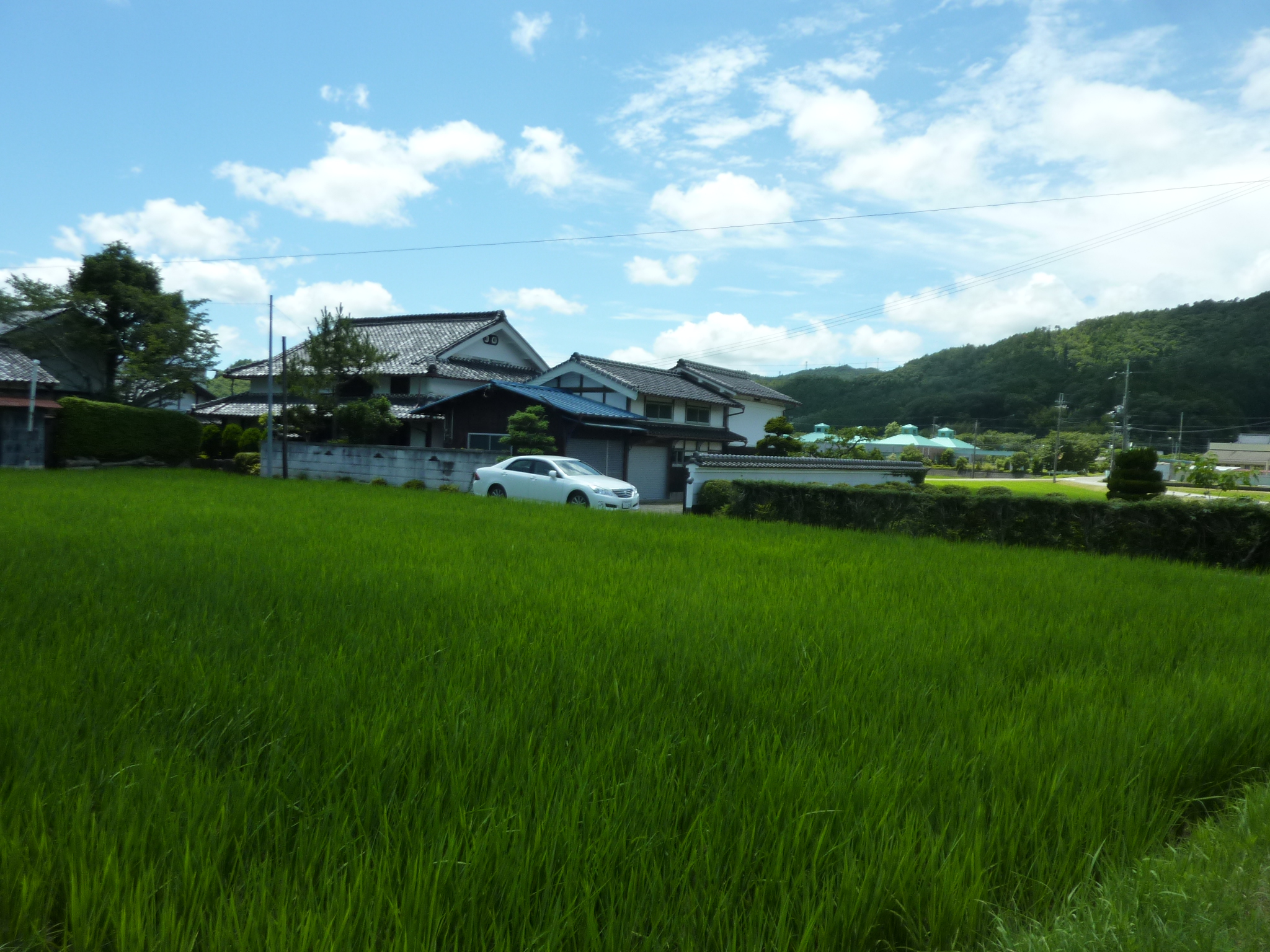 P1140316.JPG