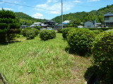 img0014.jpg
