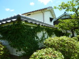img0015.jpg