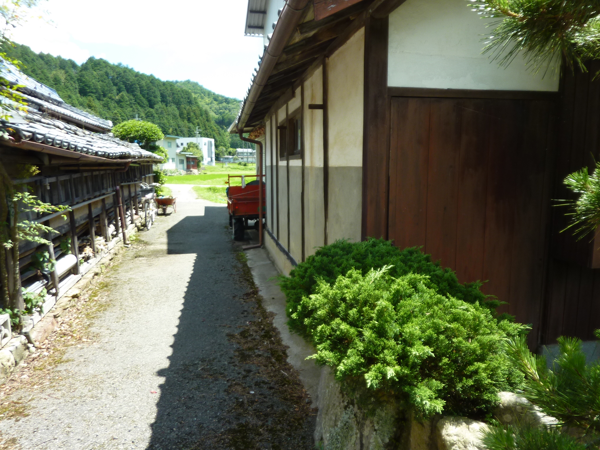 P1140325.JPG