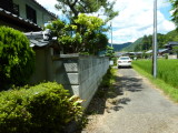 img0009.jpg