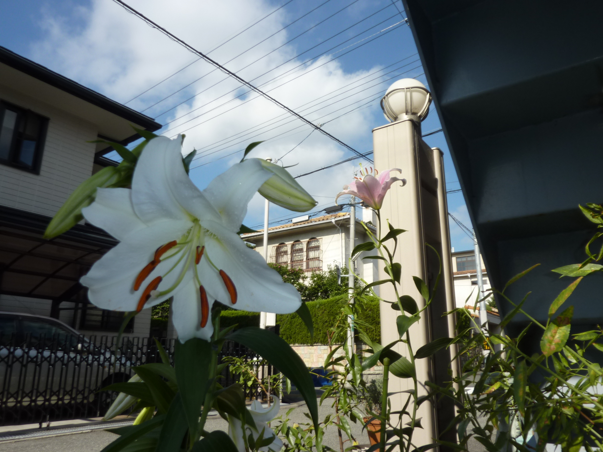 P1140333.JPG