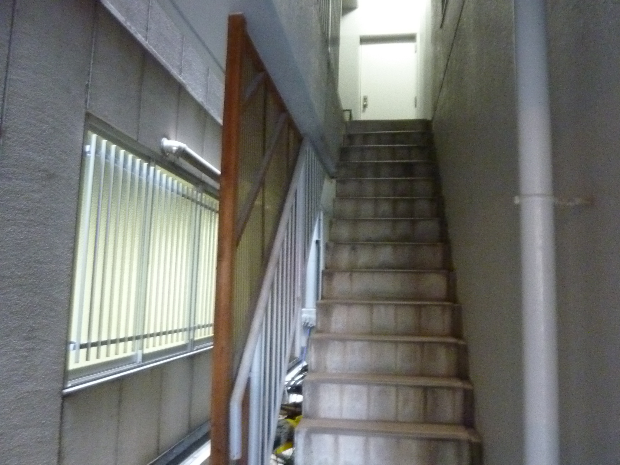P1140340.JPG