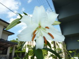img0000.jpg