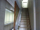 img0010.jpg