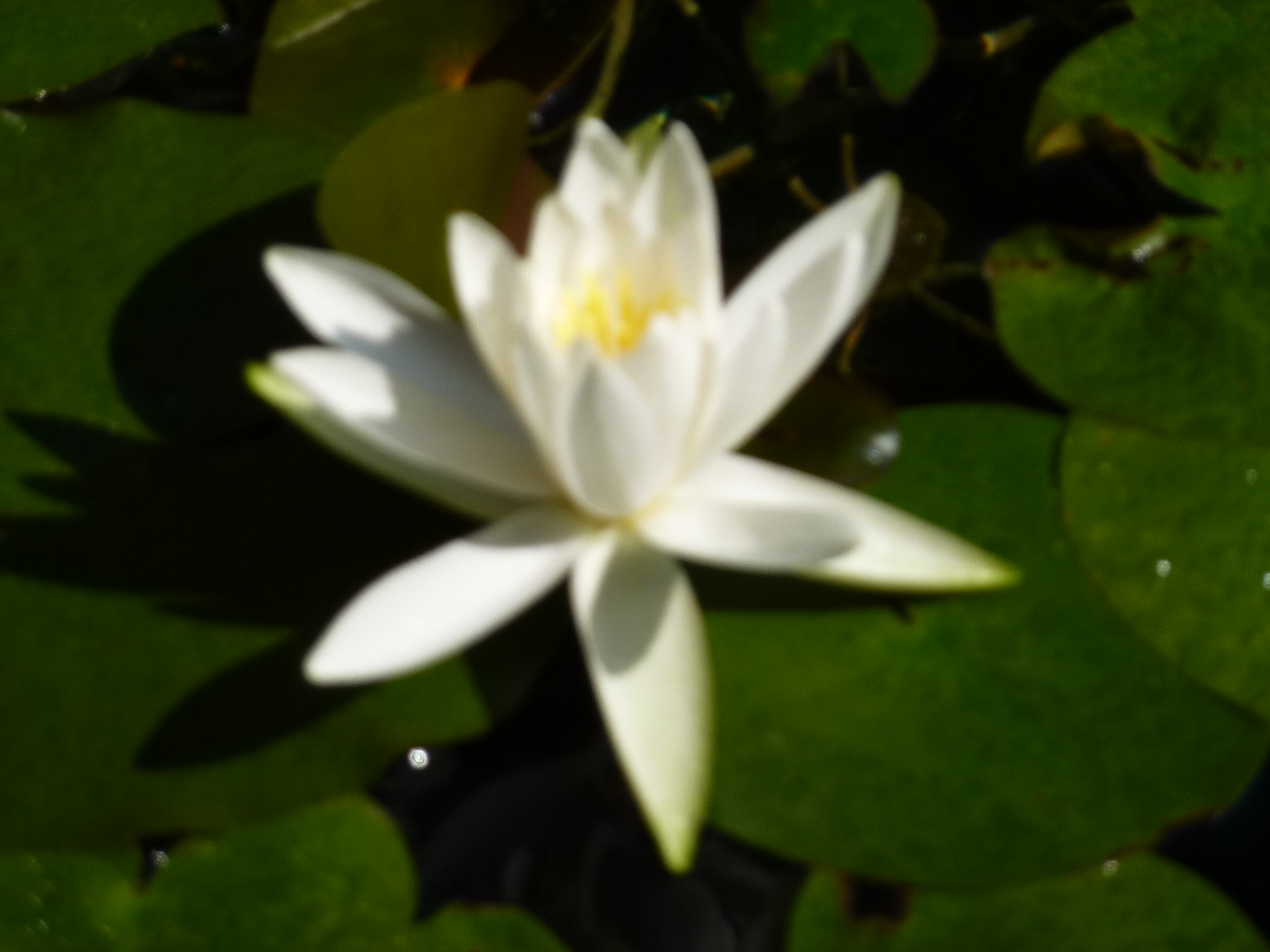 P1000010.JPG