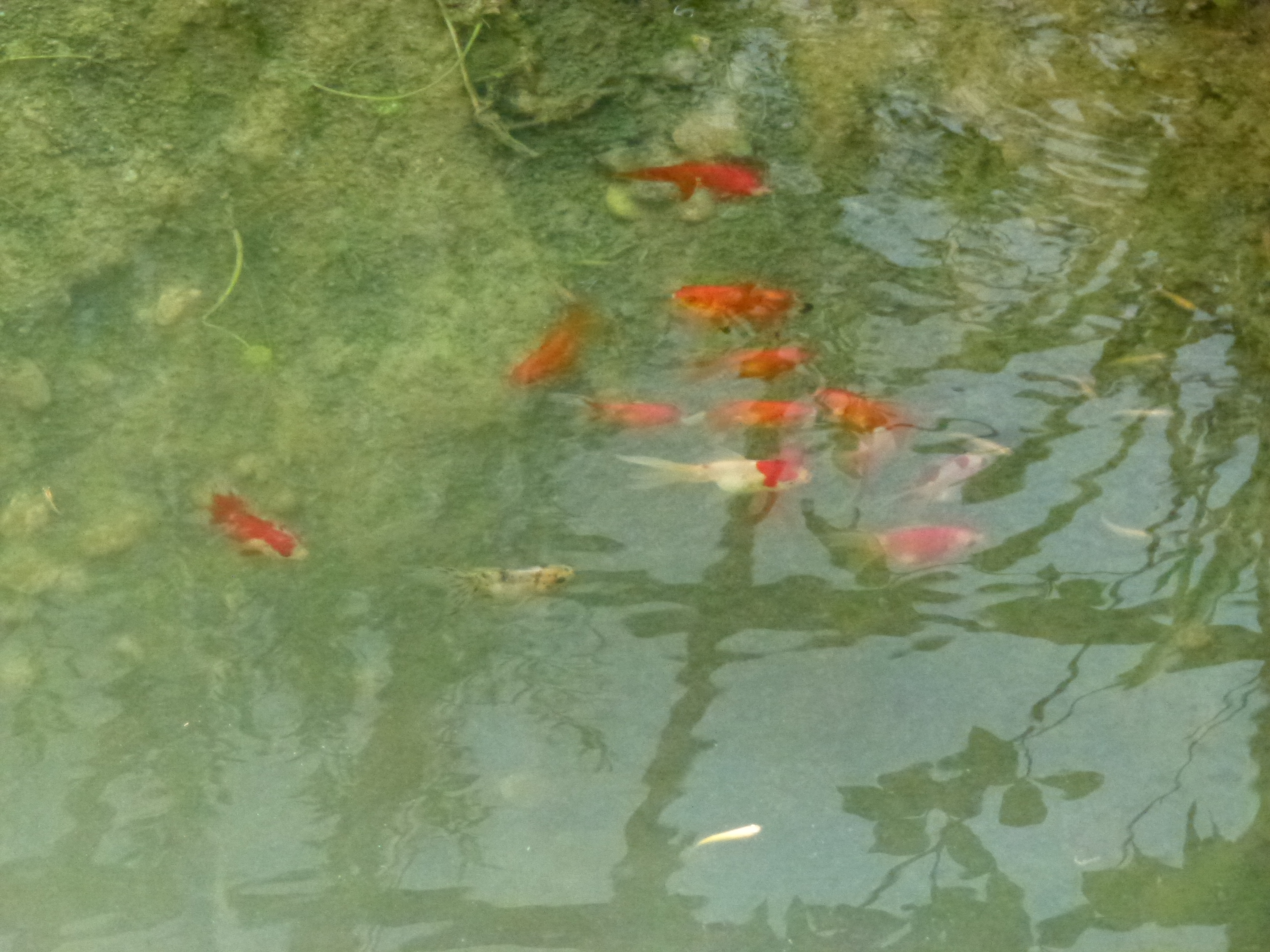 P1000013.JPG