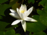 img0000.jpg