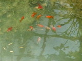 img0002.jpg