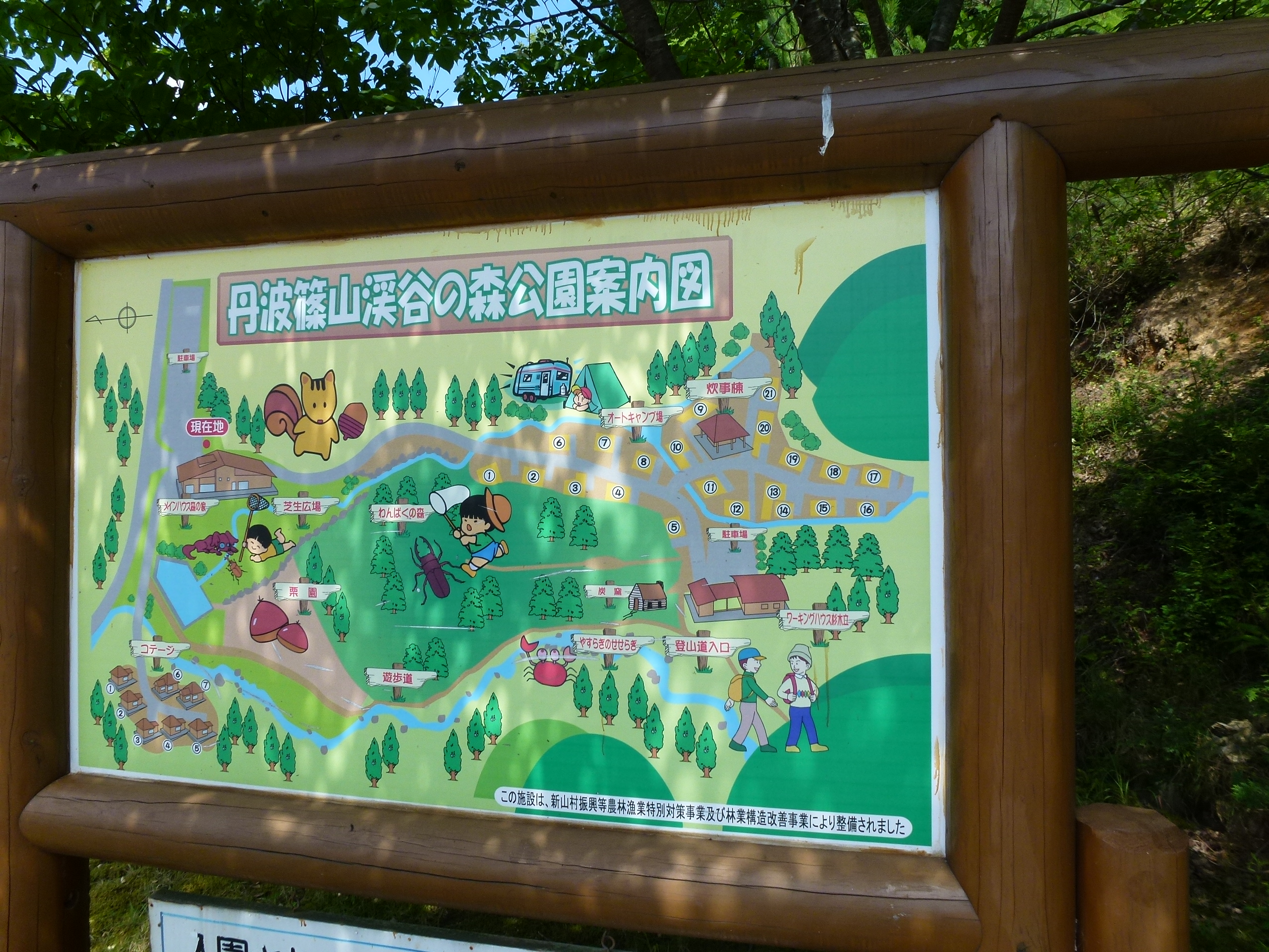 P1000021.JPG
