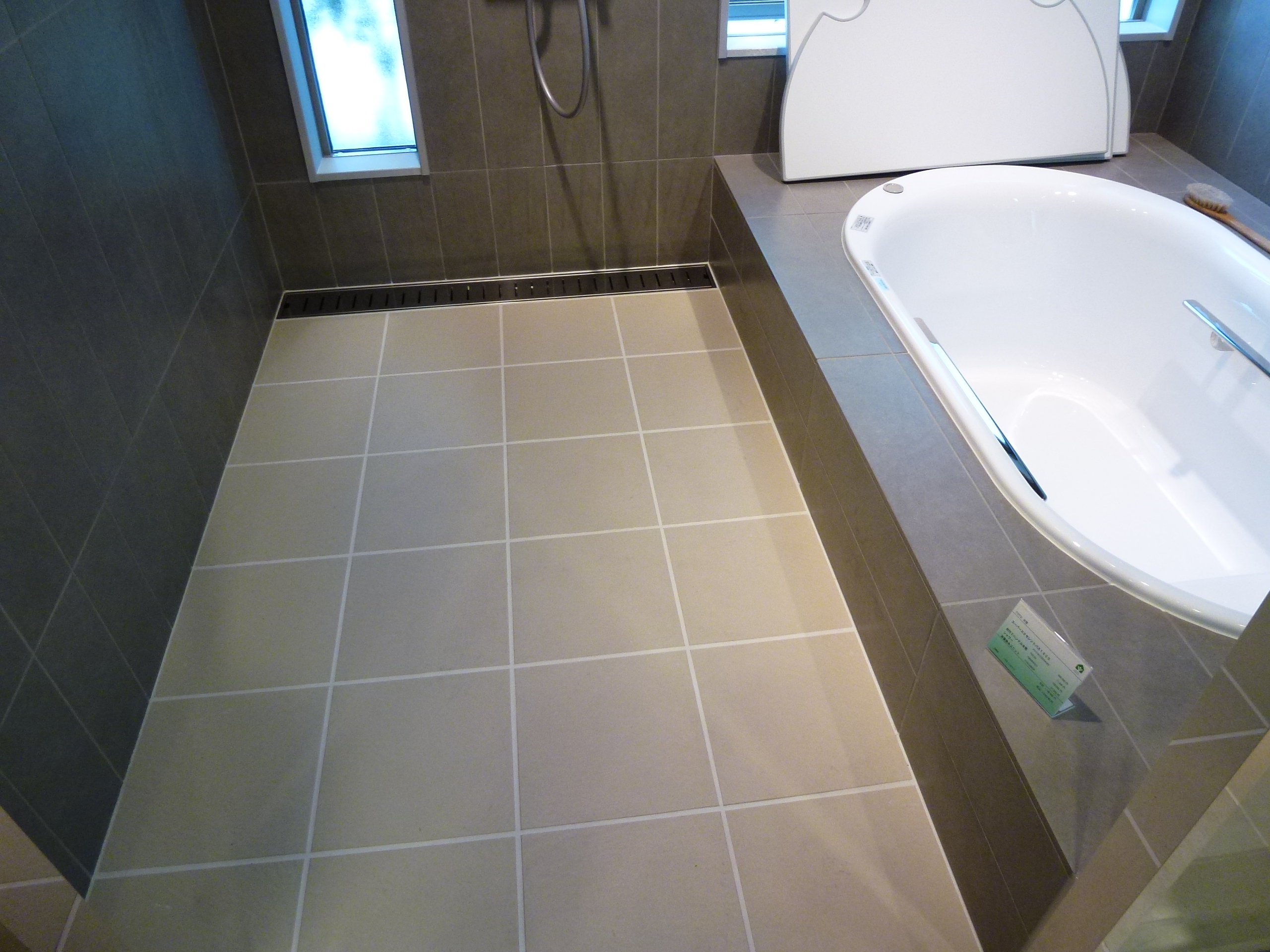 P1000071.JPG