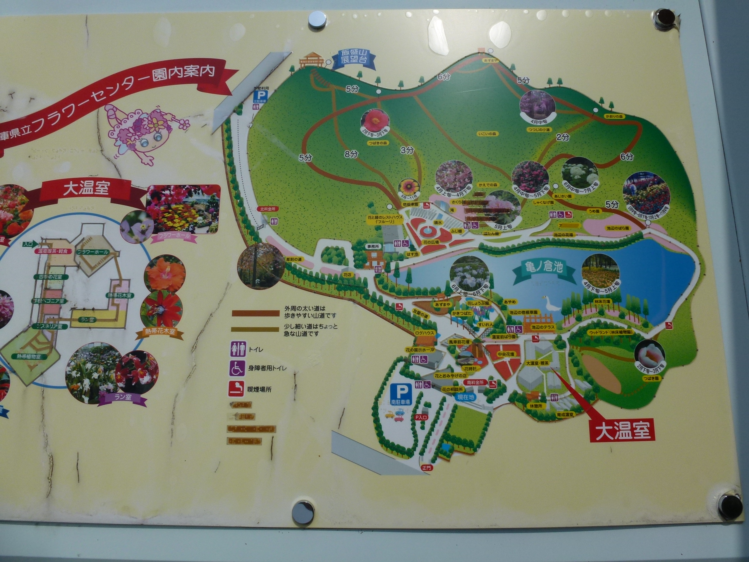 P1000090.JPG