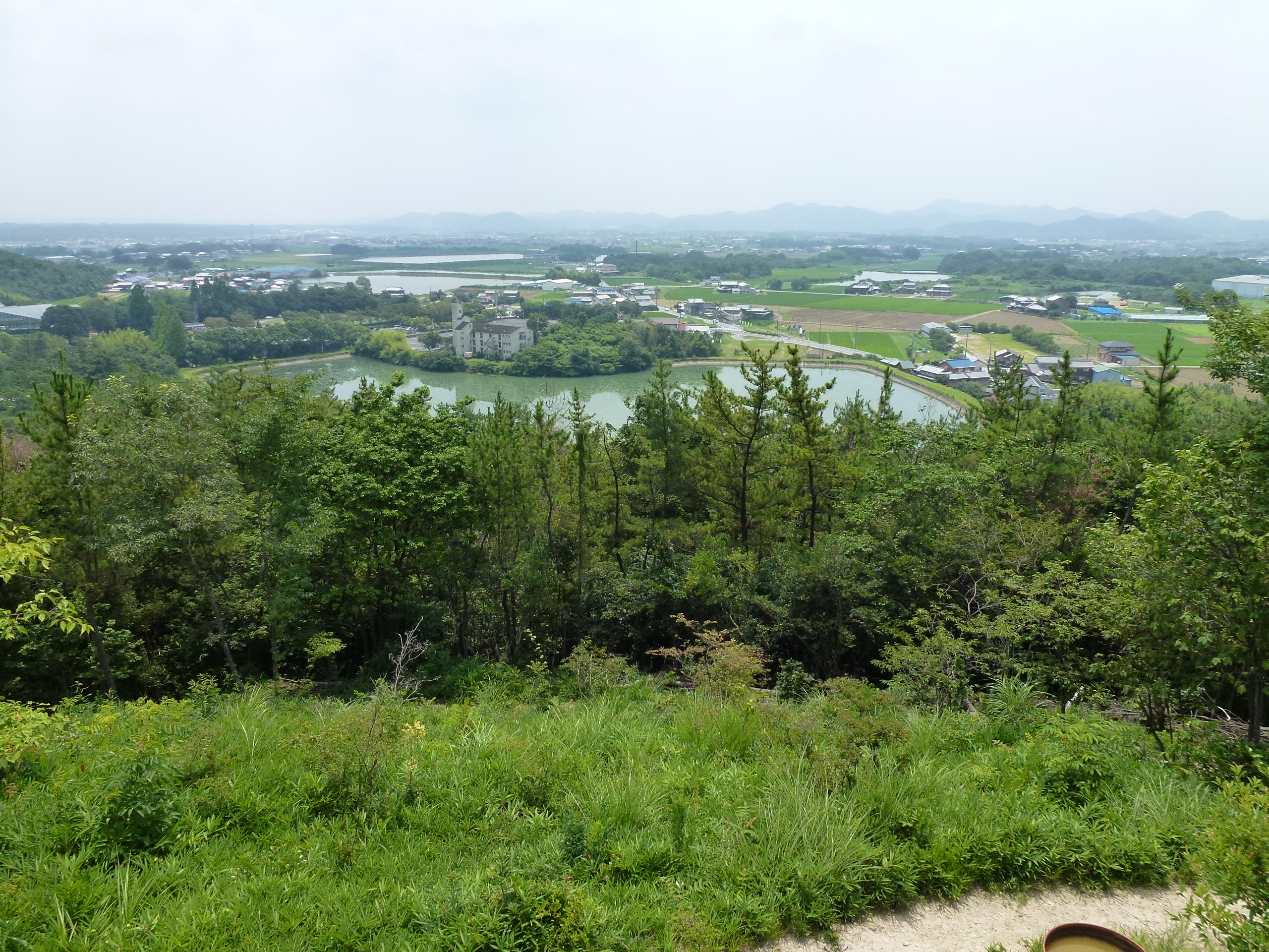 P1000094.JPG