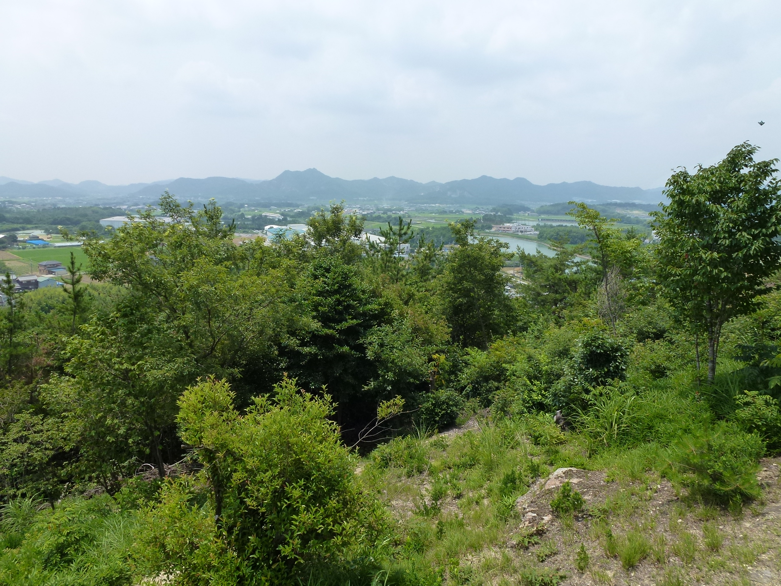 P1000096.JPG