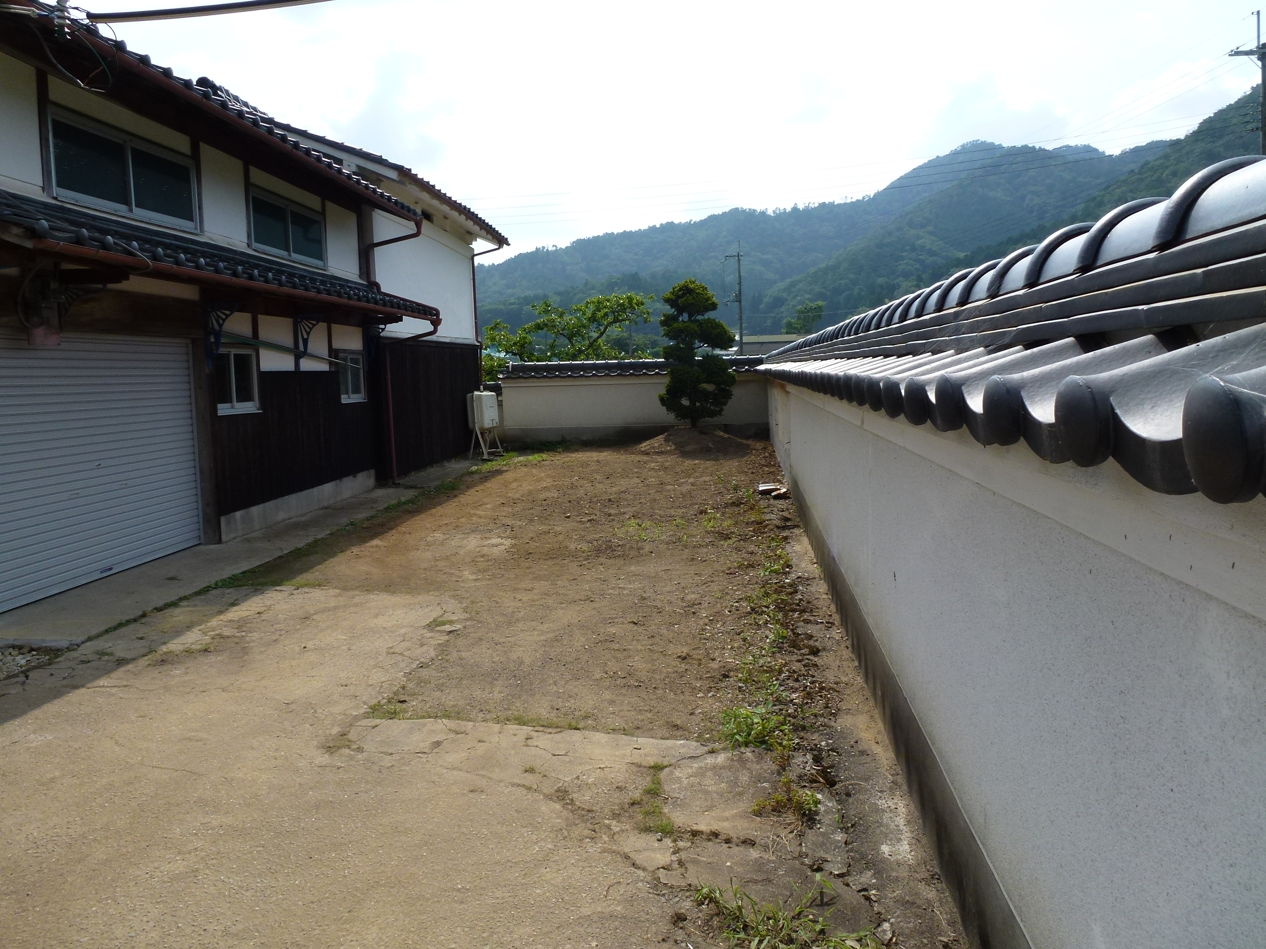 P1000124.JPG