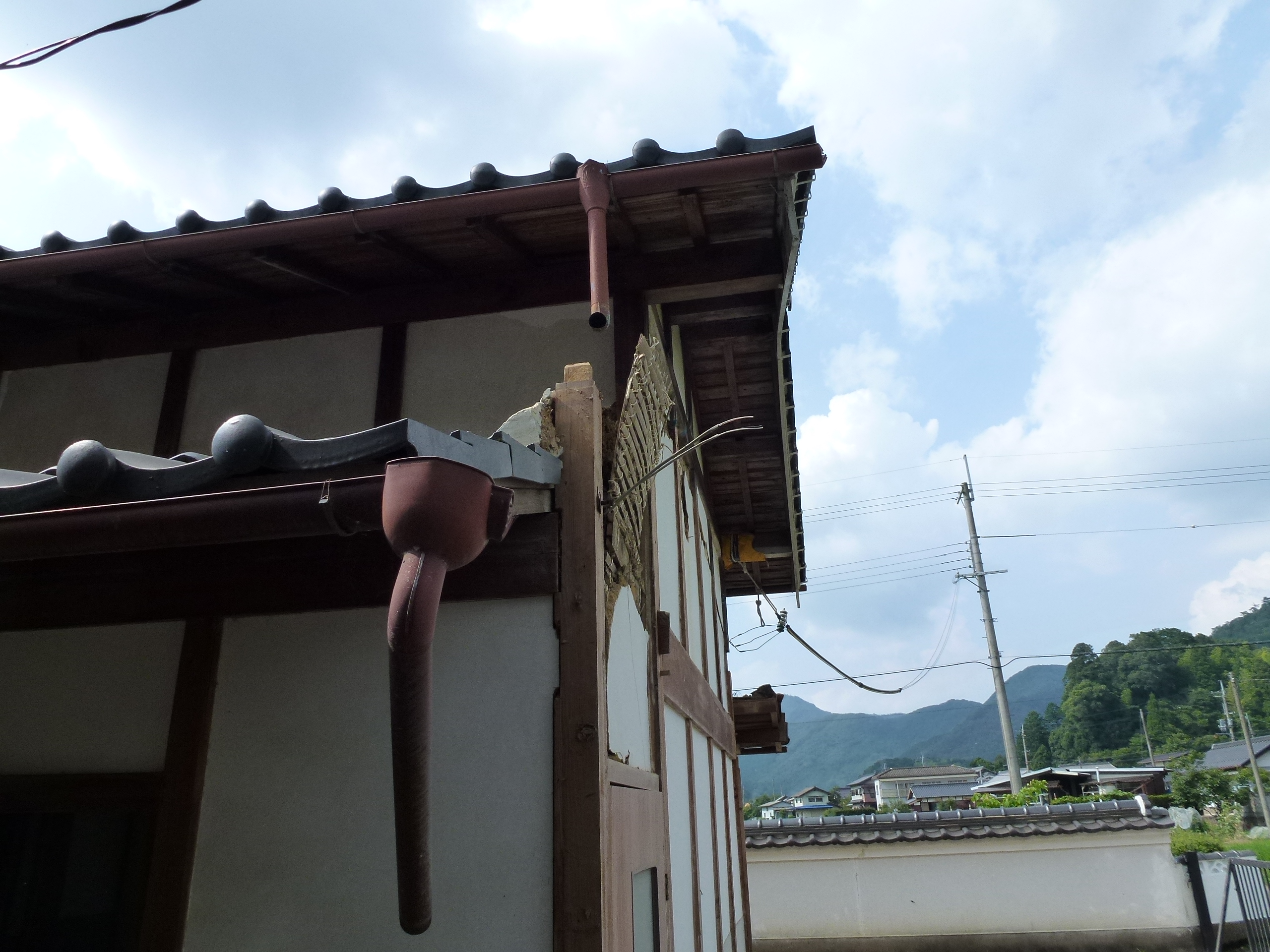 P1000129.JPG