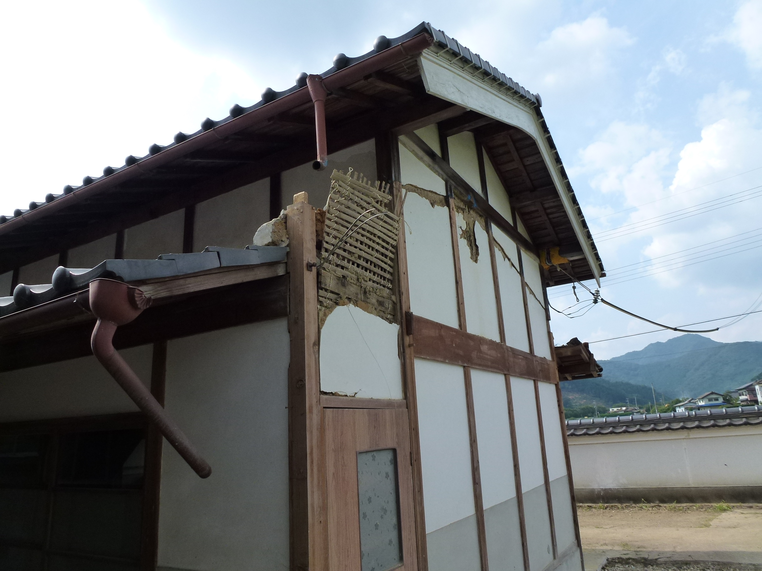 P1000130.JPG